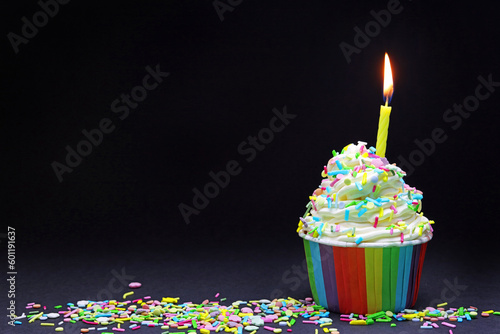 Canvas Print birthday cupcake with candle and colourful sprinkles
