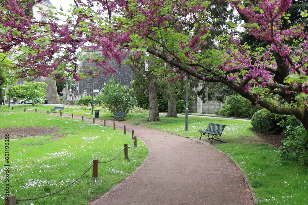 Le jardin Augustin Thierry, parc public, ville de Blois, département du Loir et Cher, France Le jardin Augustin Thierry, parc public, ville de Blois, département du Loir et Cher, France