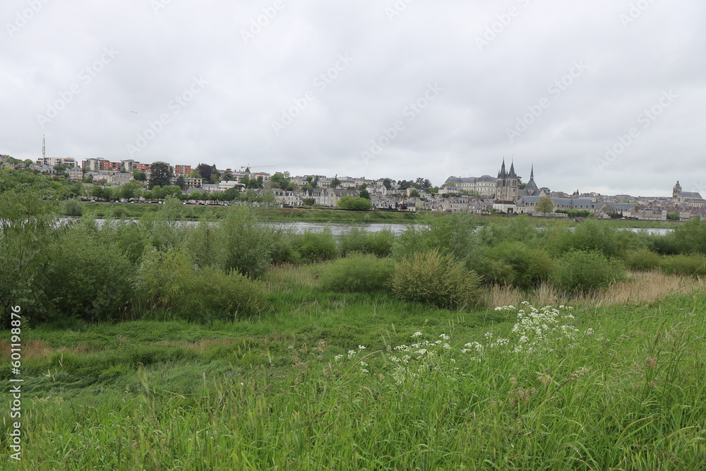 Les rives du fleuve Loire, ville de Blois, département du Loir et Cher, France