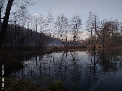 Autumn at the lake