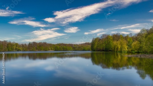 view of the lake and forest © Hawk