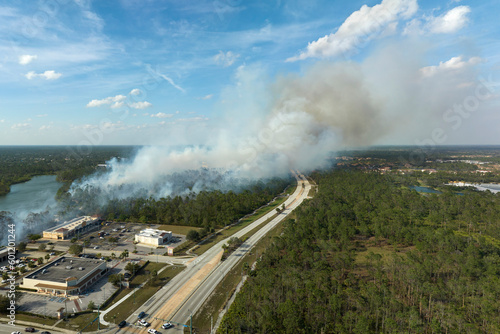 Wildfire burning severely during dry winter season in North Port city, Florida. Thick smoke rising up over suburb homes