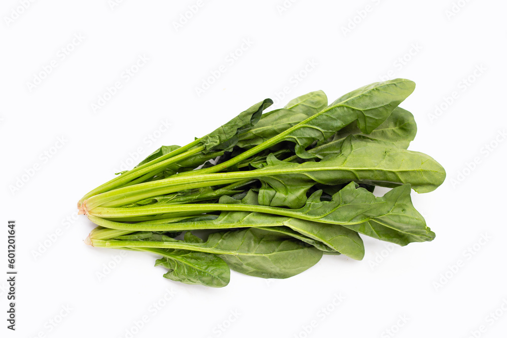 Fresh spinach on white background