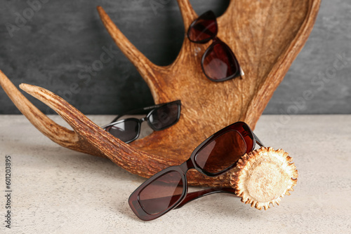 Moose antler with sunglasses on table near dark wall