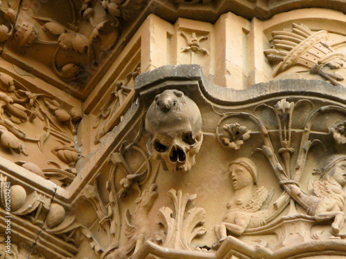 la rana de salamanca fachada universidad 2008