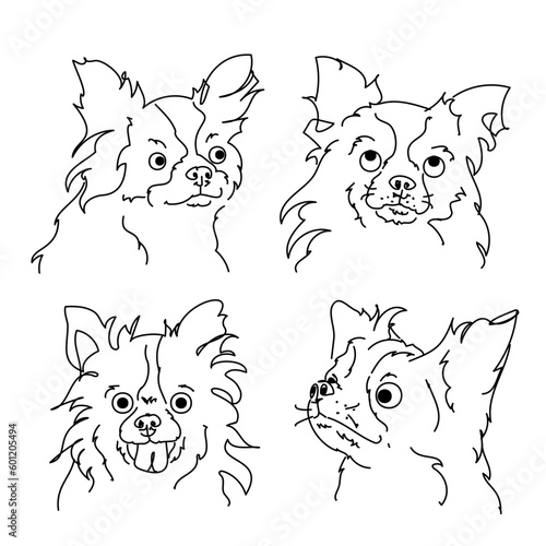 four expressive long haired chihuahua faces, line art, ugly portrait