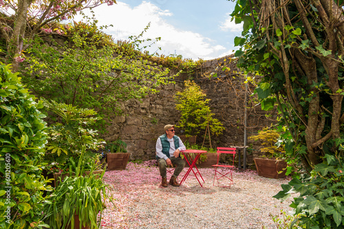 Wallpaper Mural The image depicts a senior man sitting in a red chair in a garden surrounded by vegetation. Torontodigital.ca