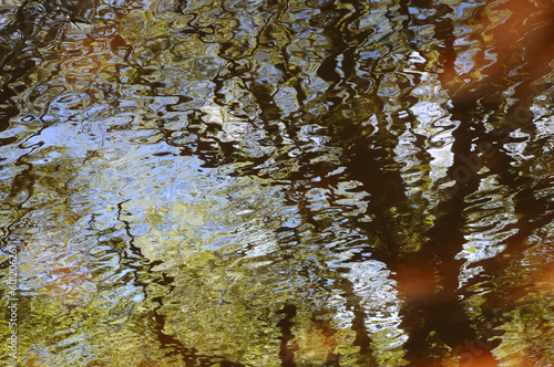 Reflections of trees in a pond in summer on the Quantock hills photo
