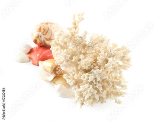 Seashells with coral on white background