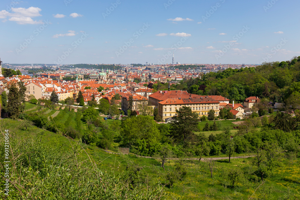 Spring Prague City with St. Nicholas' Cathedral and colorful Nature with flowering Meadows from the Hill Petrin, Czech Republic