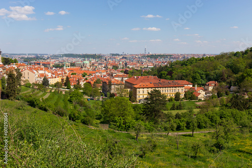 Spring Prague City with St. Nicholas  Cathedral and colorful Nature with flowering Meadows from the Hill Petrin  Czech Republic