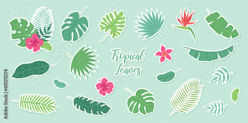 Set of stickers tropical leaves and exotic flowers. Palm, banana leaf, hibiscus, plumeria flowers, bird of paradise. Bouquets with tropical flowers. Vector flat cartoon illustration.
