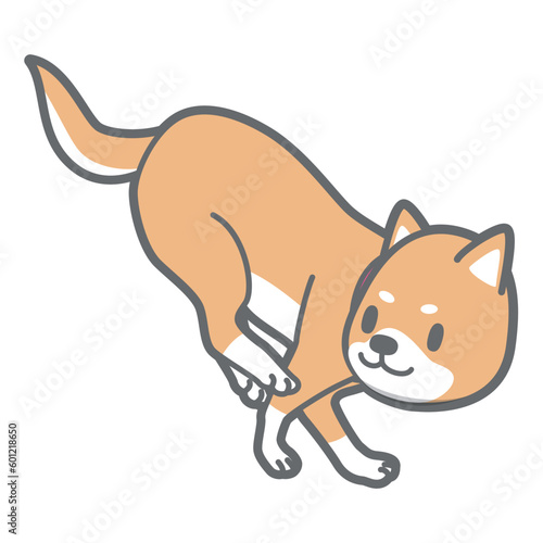 着地する柴犬のベクターイラスト