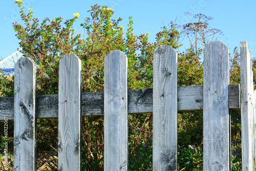 A panel of a wood picket fence with grey faded boards. The structure has been exposed to weather elements with white paint peeling. Behind the barrier is a green shrub or hedge and a blue sky.