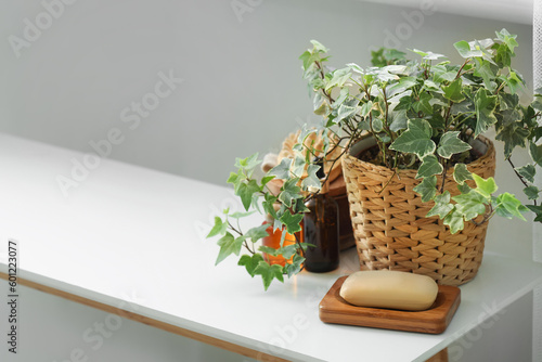 Different cosmetic products and houseplant on table in bathroom