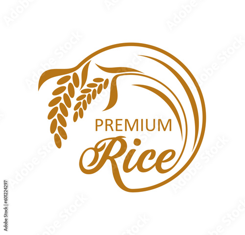 Rice farm icon. Natural cereal products organic farm, cereal farmer market or quality rice shop or store vector sign. Healthy food agriculture company icon or symbol with rice ear, grains and leaves