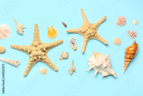Seashells and starfishes on blue background