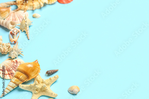 Assorted seashells and star...