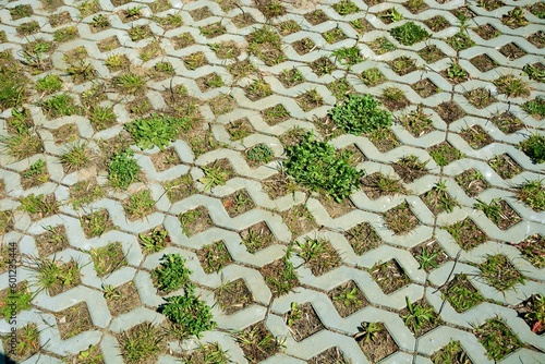 Overgrown parking lot with grass and weeds ( concrete openwork plates , transparent ) photo