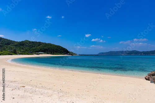 Fototapeta Naklejka Na Ścianę i Meble -  奄美大島　打田原海岸