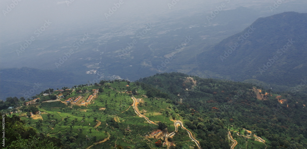 birds eye view of lush green valley of nilgiri mountains at coonoor hill station near ooty in tamilnadu, south india
