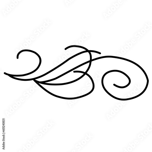 Swirl Line Decoration Vector 