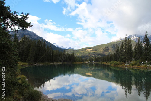 Fototapeta Naklejka Na Ścianę i Meble -  reflections on the river, Banff National Park, Alberta