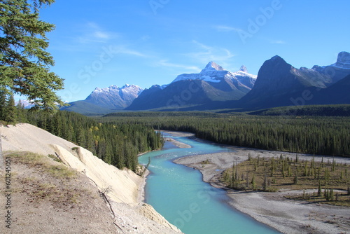 mountain river in the mountains  Jasper National Park  Alberta