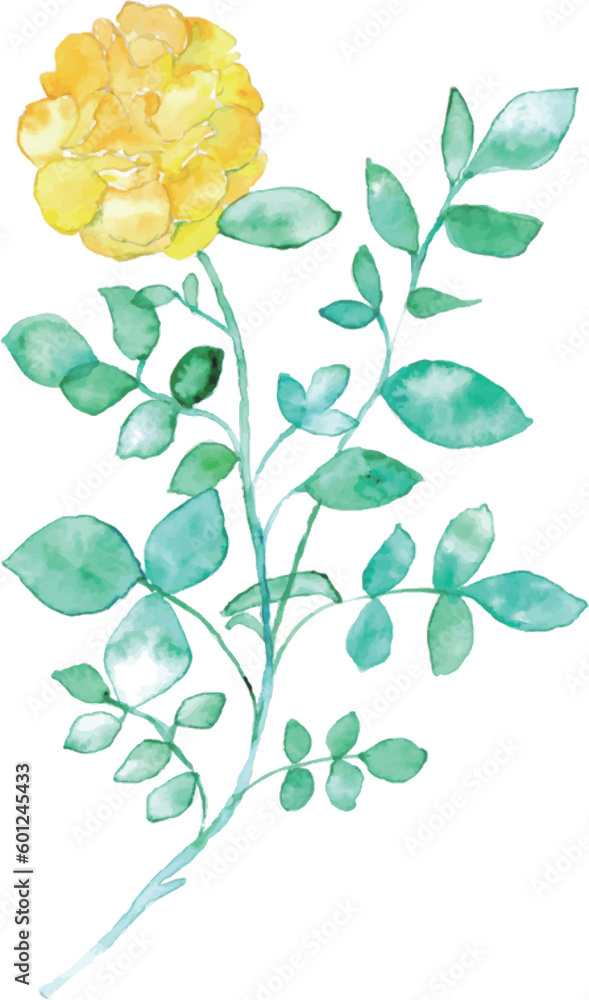 Obraz premium 水彩画。水彩タッチの黄色いバラベクターイラスト。水彩画の薔薇背景。Watercolor painting. Yellow roses vector illustration with watercolor touch. Watercolor rose background.