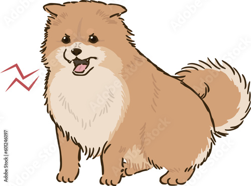 怒るポメラニアン（オレンジ）