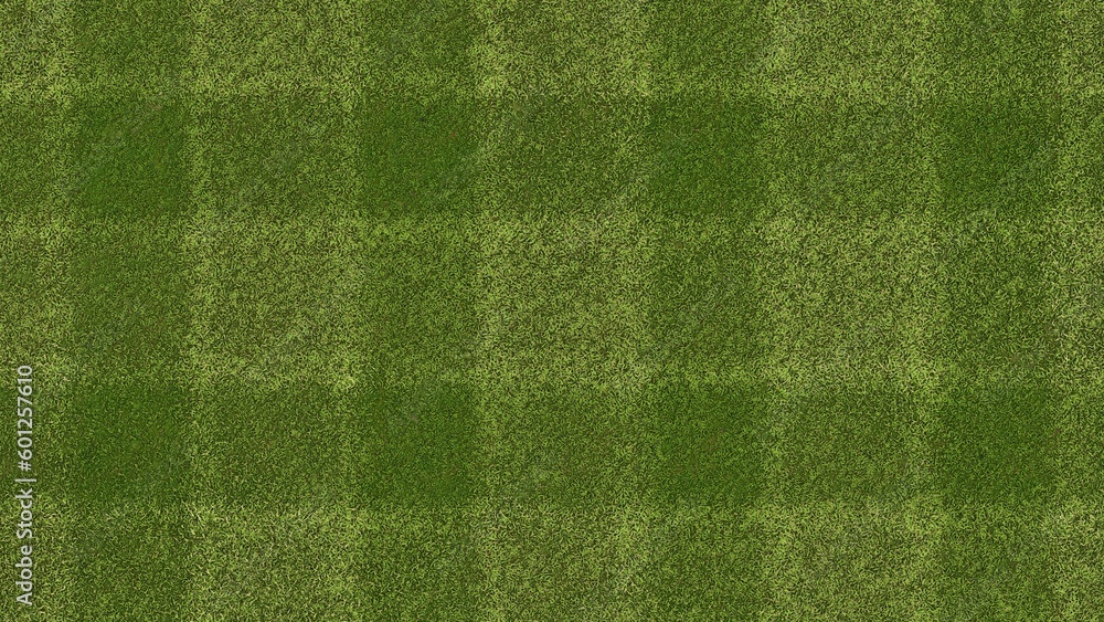Fototapeta premium Green grass texture for sport background. Detailed pattern of green soccer field or football field grass lawn texture. Green lawn texture background. Close Up. 3D Rendering