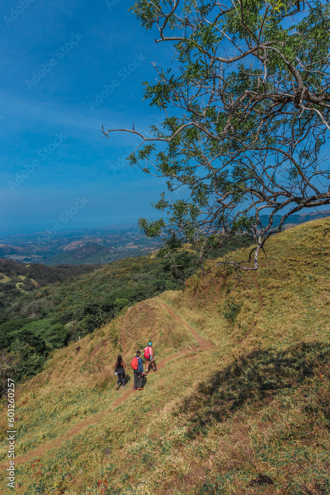 vertical shot of a group of hikers walking along a path surrounded by nature and countryside in Puntarenas, Costa Rica