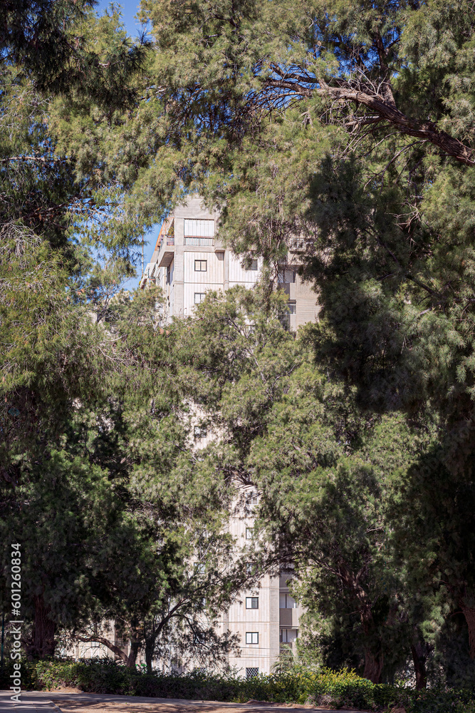 a modern apartment tower building is nearly hidden behind large mature tamarix trees in a park setting in Beer Sheva in Israel a modern apartment tower building is nearly hidden behind large mature tamarix trees in a park setting in Beer Sheva in Israel