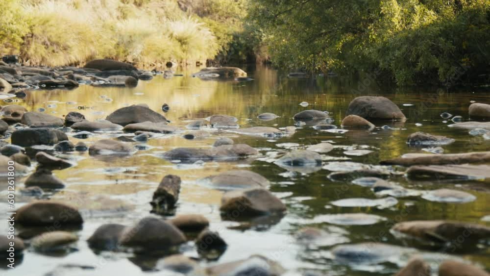 Calm river with some rocks in the African countryside Calm river with some rocks in the African countryside