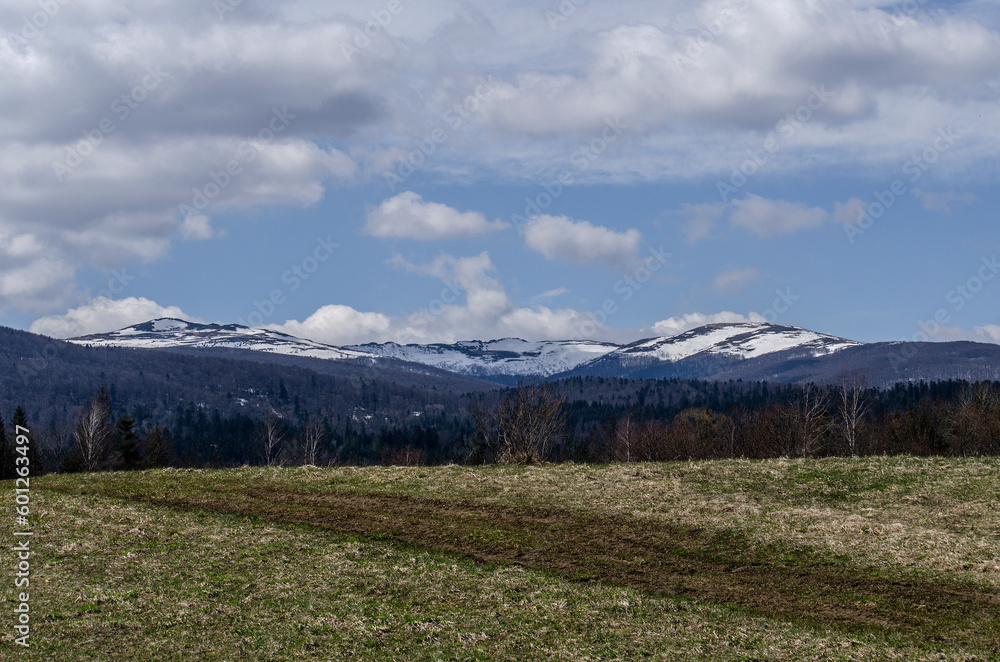 Fototapeta premium Torfowisko wysokie Tarnawa Górna Bieszczady widok na połoniny 