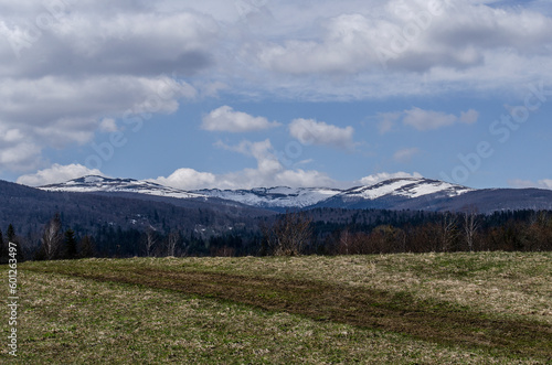 Fototapeta Naklejka Na Ścianę i Meble -  Torfowisko wysokie Tarnawa Górna Bieszczady widok na połoniny 