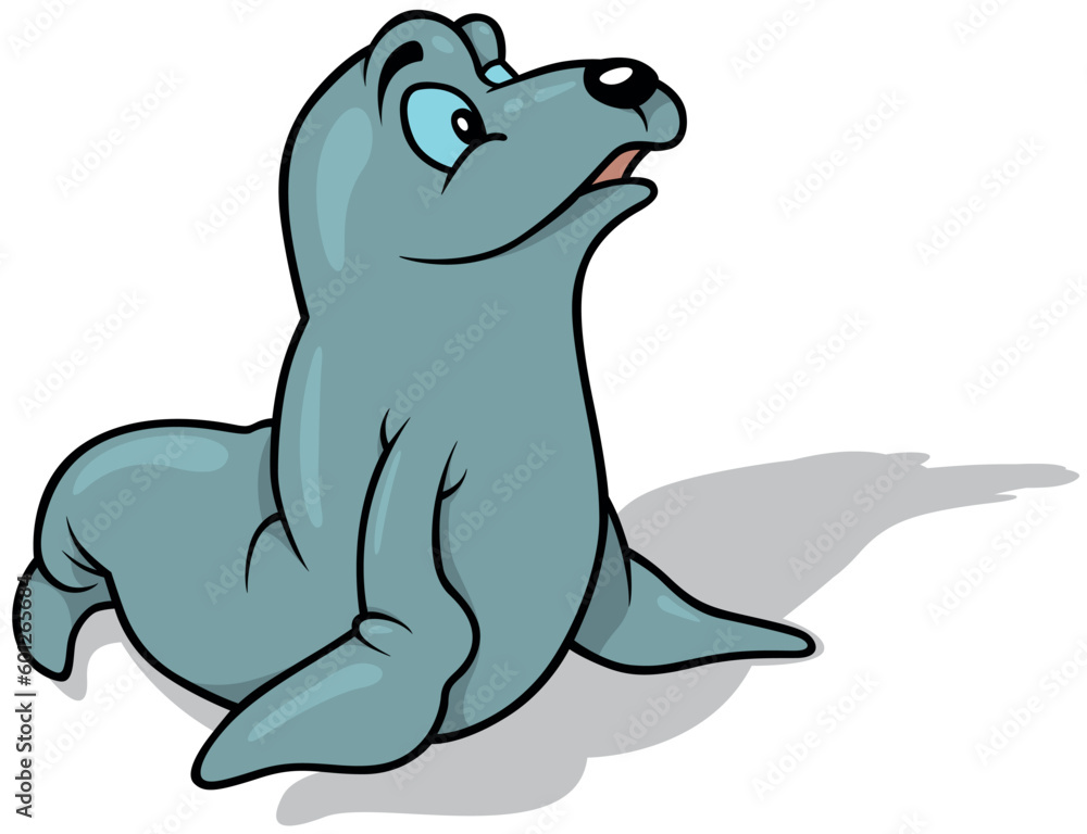 Blue-eyed Curious Sea Lion Blue-eyed Curious Sea Lion