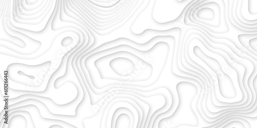 Abstract wavy line 3d paper cut white background. Topographic canyon geometric map relief texture with curved layers and shadow. Abstract realistic papercut decoration textured with wavy layers	