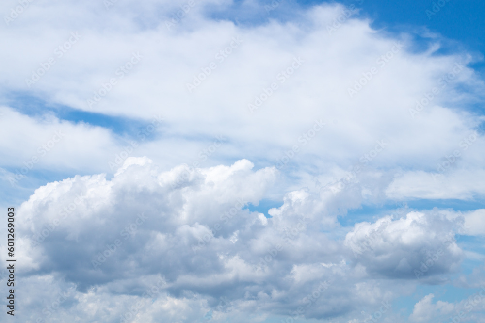 Obraz premium 夏の空 