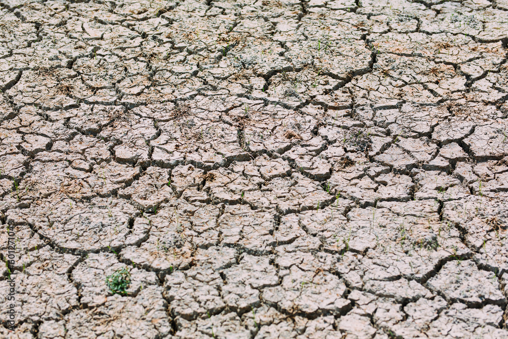 The clay surface is cracked by the dry season and the water shortage. The clay surface is cracked by the dry season and the water shortage.