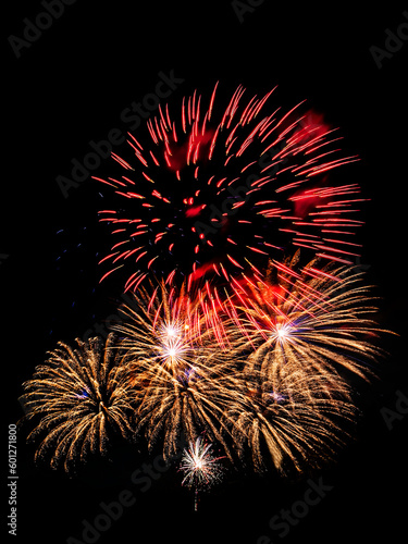 Multiple fireworks against the deep black sky. Bright display of the fireworks