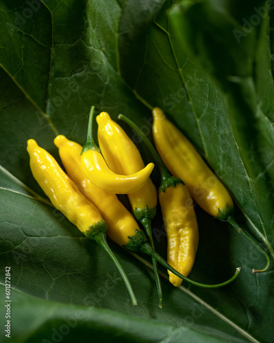 Several Lemon Drop peppers on green leaf. Peruvian peppers with lemon flavor. Yellow strings. Bright spices. Spicy food. Freshly picked peppers. Top view. Close-up. Soft focus. Copy space. photo