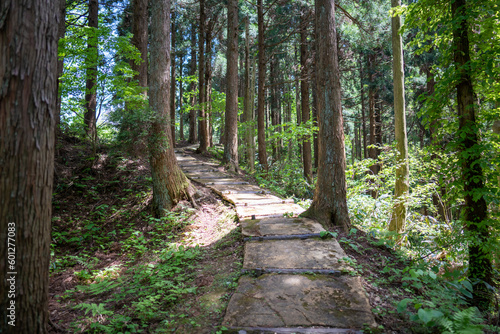 石川県鹿島郡中能登町の石動山を春の晴れた日に登山する風景 Scenery of climbing Mt. Ishidou in Nakanoto-cho, Kashima-gun, Ishikawa Prefecture on a sunny spring day.