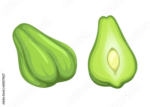 Labu Siam aka Chayote vegetable symbol whole and slice set cartoon illustration vector