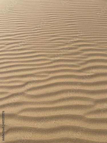 A beautiful sand desert in Mongolia