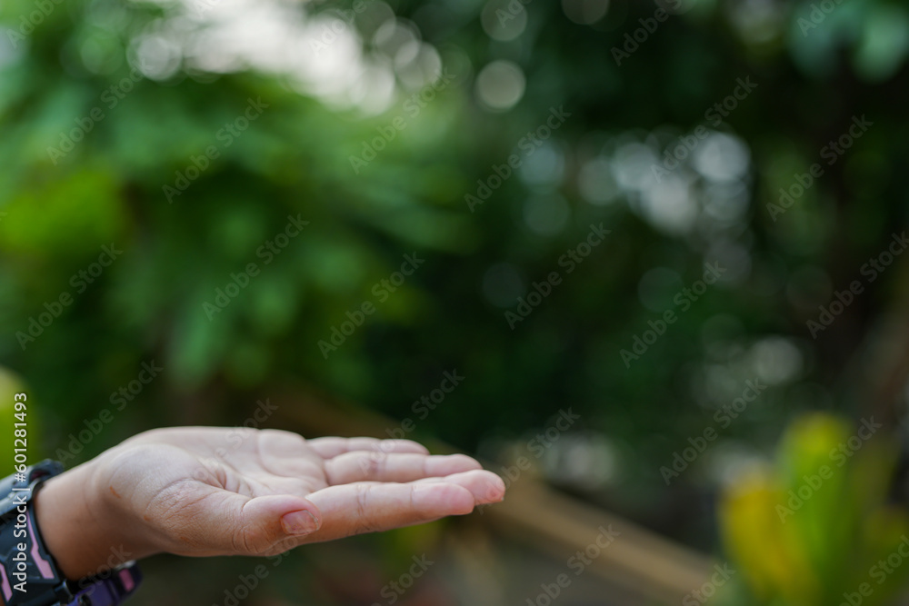 Technology, hand holding with environment Icons over the Network connection on green background. Technology, hand holding with environment Icons over the Network connection on green background.