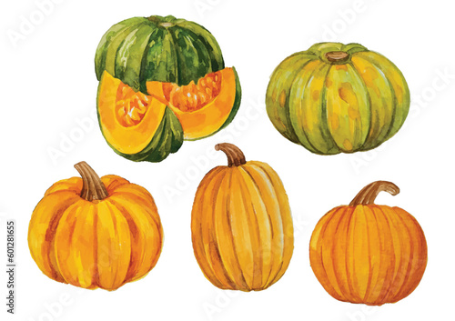 pumpkin watercolor clip art on islated background