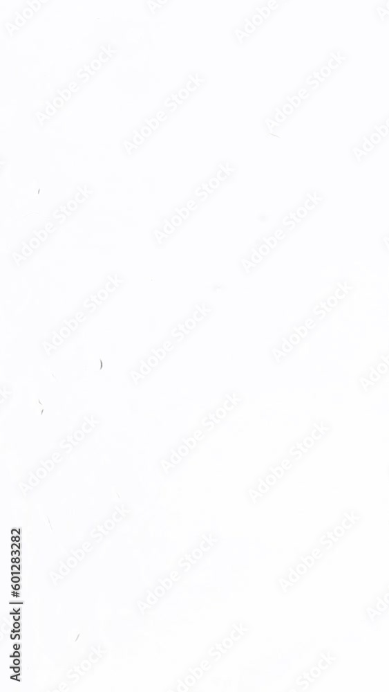 Rainwater drops Falling Down On the Window Glass isolated on white background Rainwater drops Falling Down On the Window Glass isolated on white background