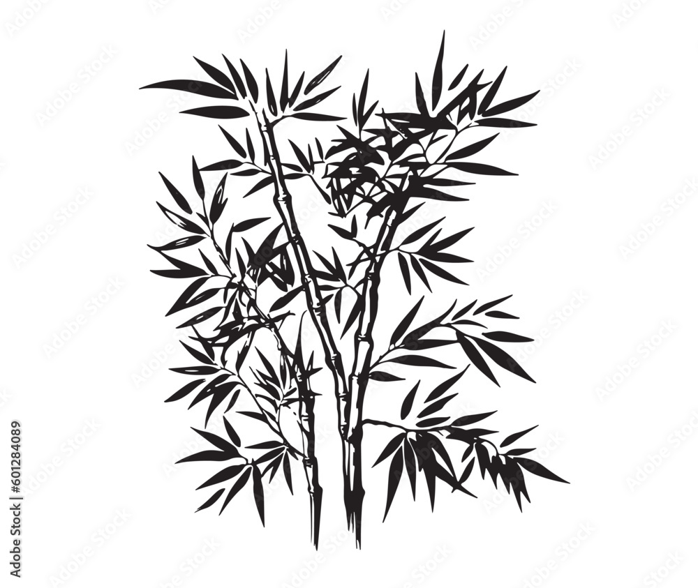 Obraz premium Bamboo tree, Hand drawn style. Vector. 