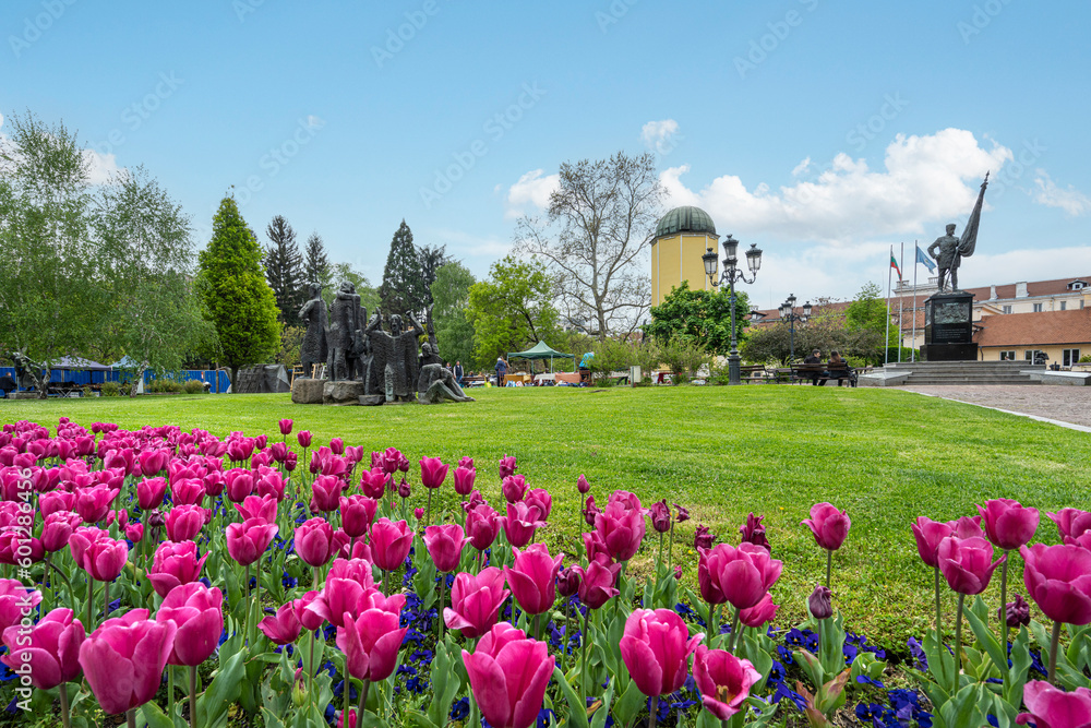 the colorful tulips in a park of Sofia, Bulgaria